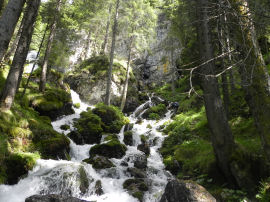 Il torrente sopra i Ruderi della Malga Pradidali (41320 bytes)